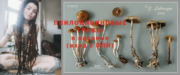 тгк Богородицк