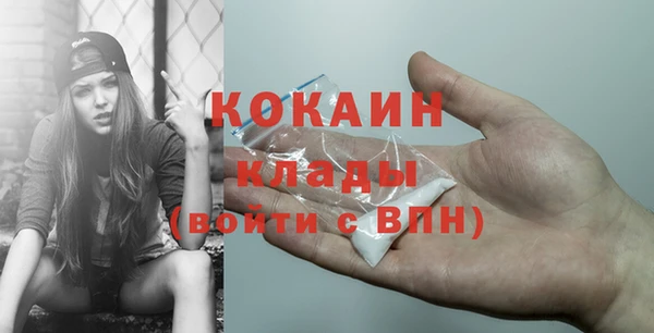 тгк Богородицк