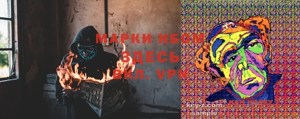 тгк Богородицк